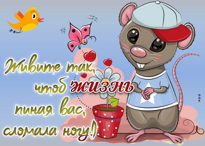 Вера Суслова | Кондопога