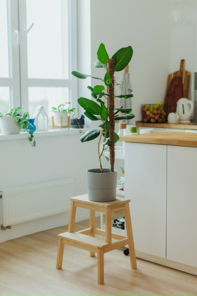 vt6B_TvmFJE.jpg?size=402x604&quality=95&