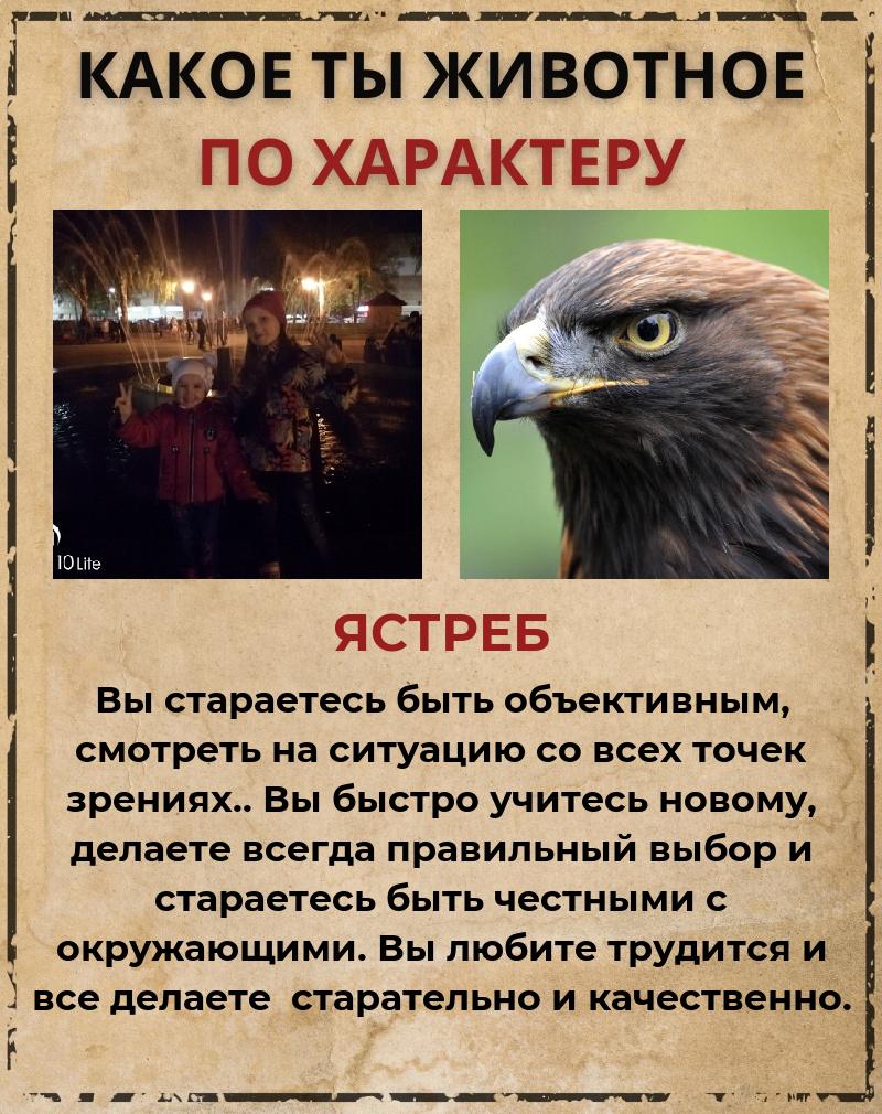 Вячеслав Ермолаев | Стерлитамак