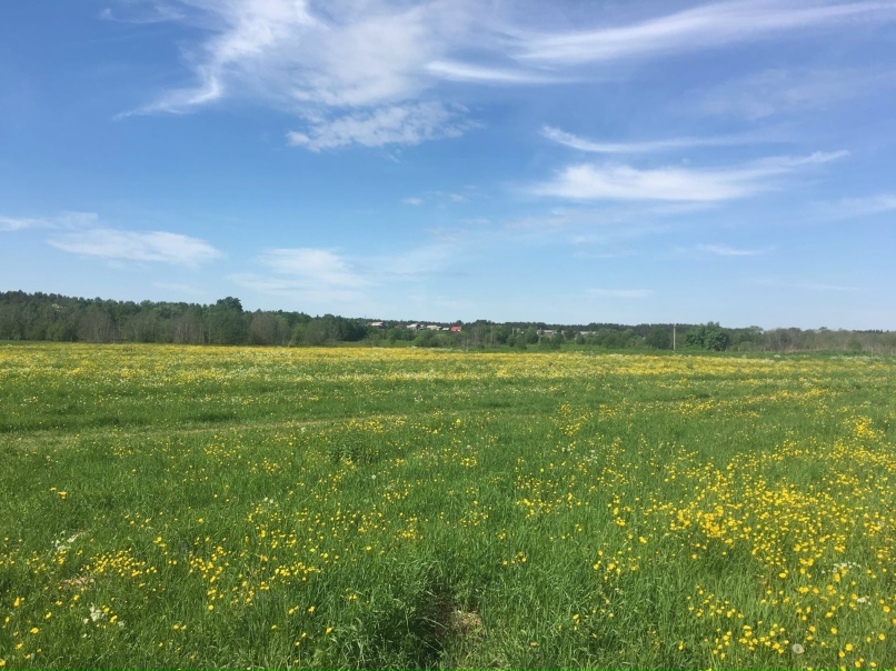 Оксана Ермолина | Мирный