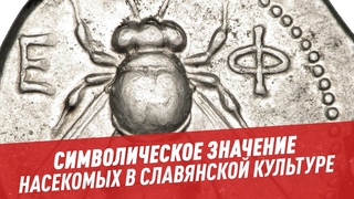 Символическое значение насекомых в славянской культуре  100 минут