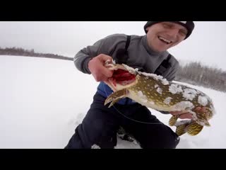 Здоровый крокодил- ЩУКА! Новогодняя рыбалка 2019, на ЖЕРЛИЦЫ!!!