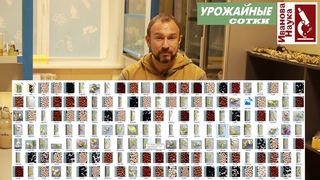 Какая фасоль поможет избежать рака? И это не сказки!!!!