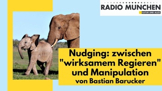 Nudging: Zwischen “wirksamem Regieren“ und Manipulation - von Bastian Barucker