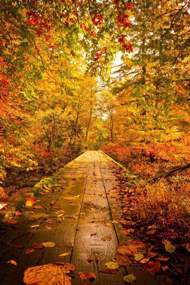 Афиша Барнаул Goodbye September