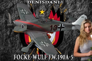 Focke-Wulf  [denisdani]