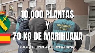 Desarticulada una organización criminal dedicada al cultivo de marihuana indoor en Castellón
